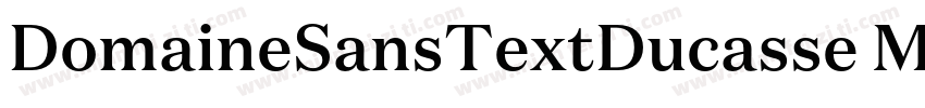 DomaineSansTextDucasse Medium字体转换